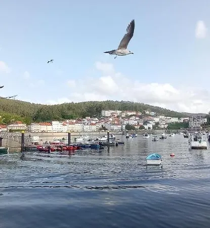 In Shared Accommodatie bij particulieren *