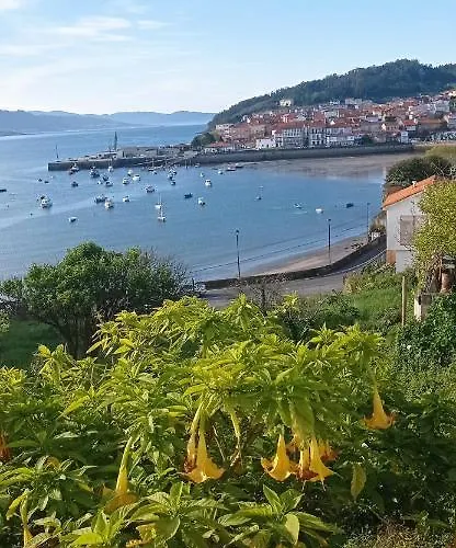 In Shared Pansiyon Cee